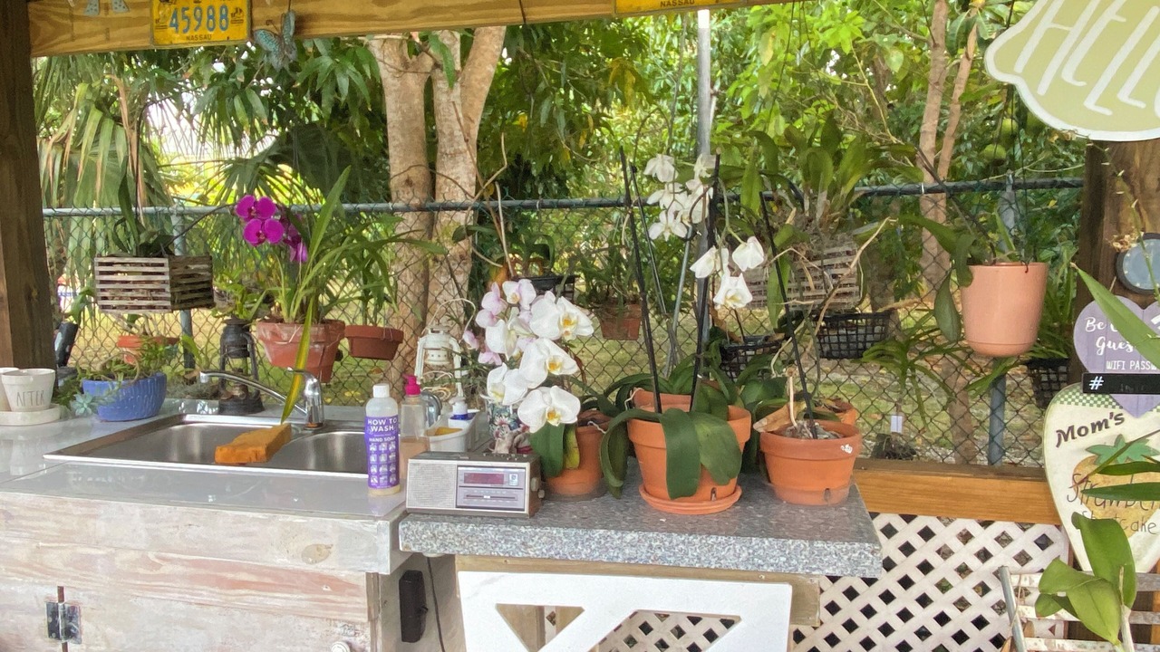 Photo of Outdoor in Gambier