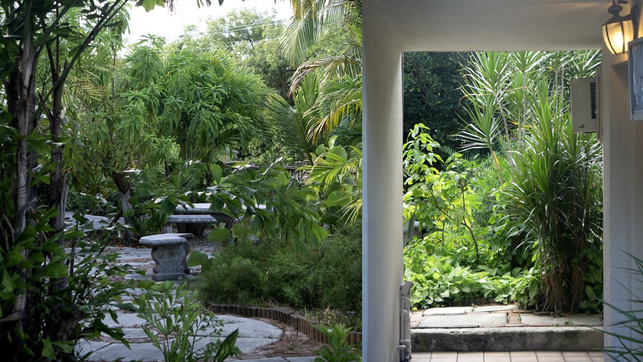 Photo of Outdoor in Bahamas Terrace