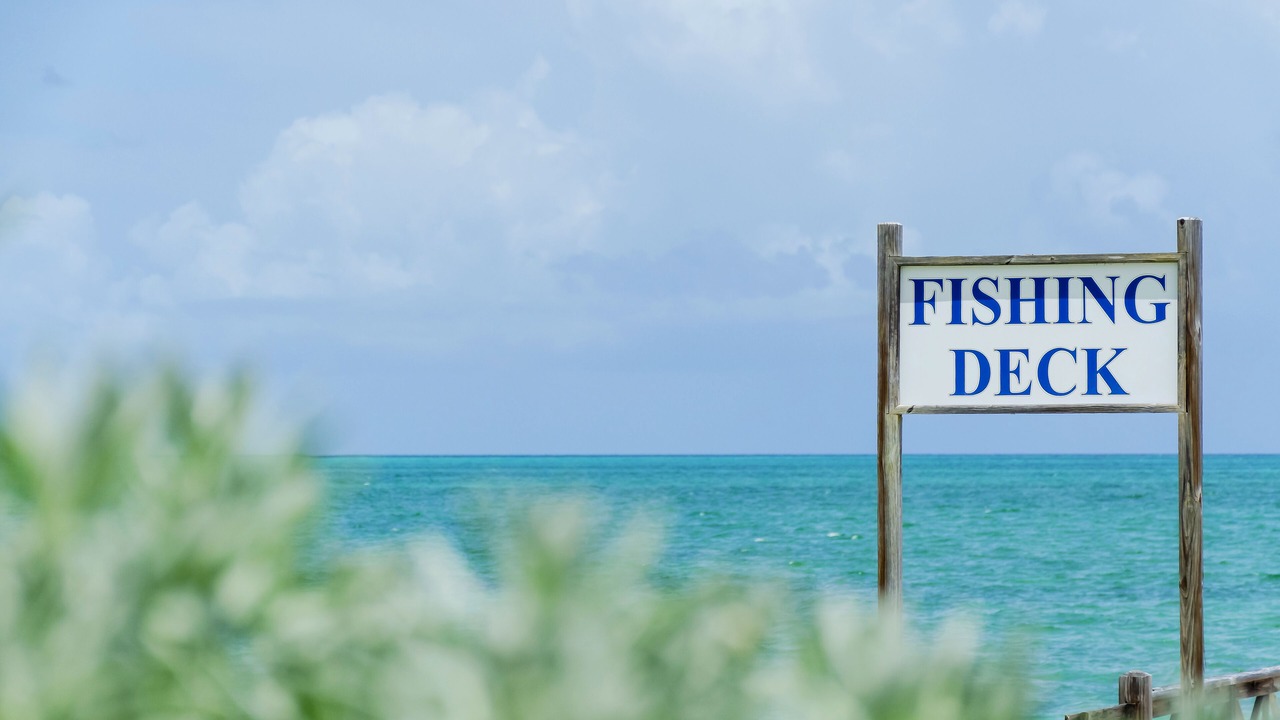 Photo of Outdoor in Andros Town
