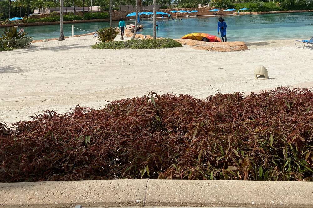 Photo of Outdoor in Downtown Nassau