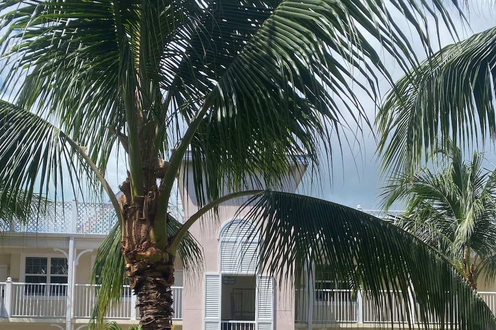Photo of Outdoor in Downtown Nassau