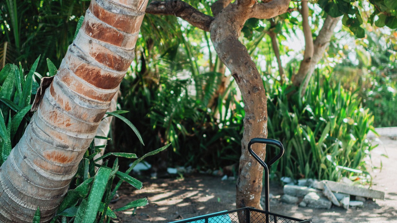 Photo of Outdoor in Great Guana Cay