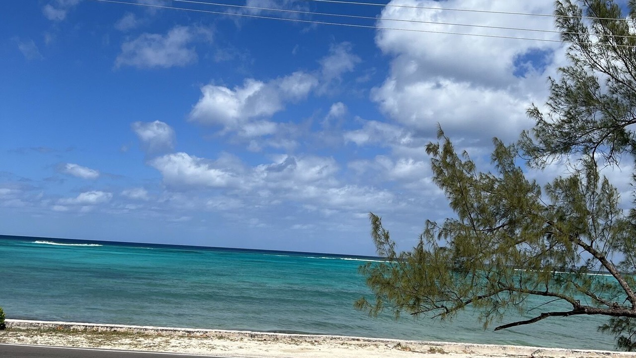 Photo of Others in Gambier