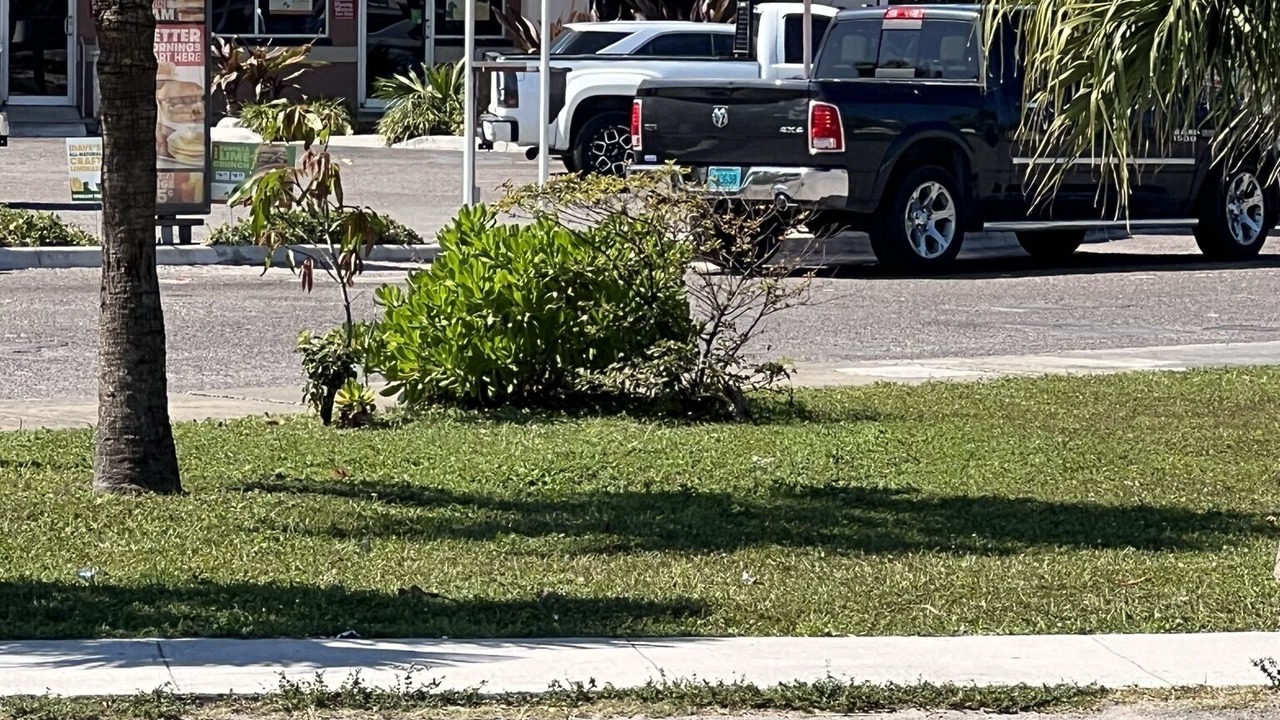 Photo of Outdoor in Gambier