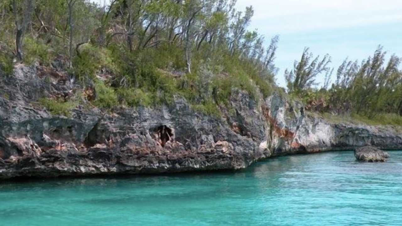 Photo of Others in Savannah Sound