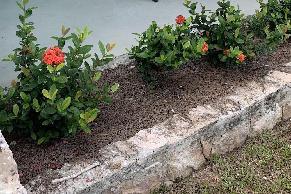 Photo of Patio Balcony in Tar Bay