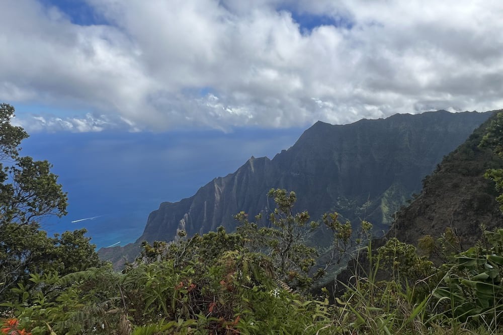 Photo of Others in Kekaha