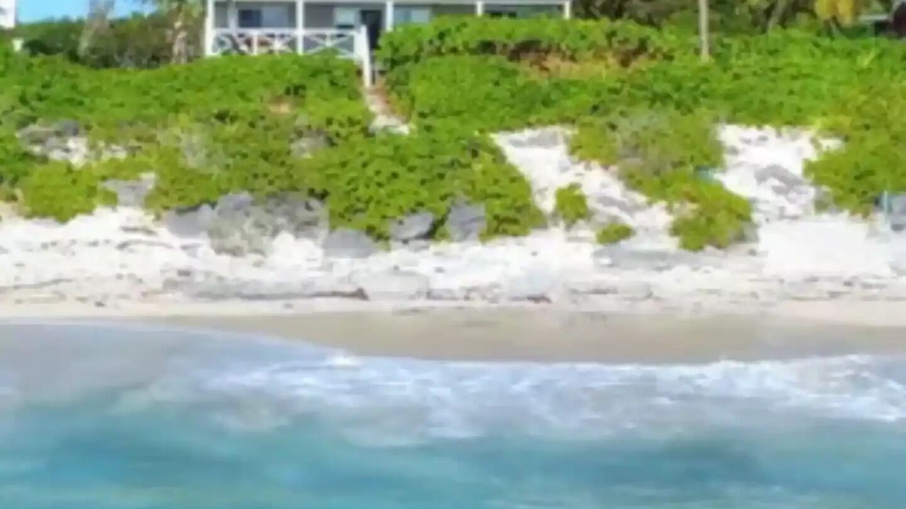 Photo of Others in Bahama Palm Shores