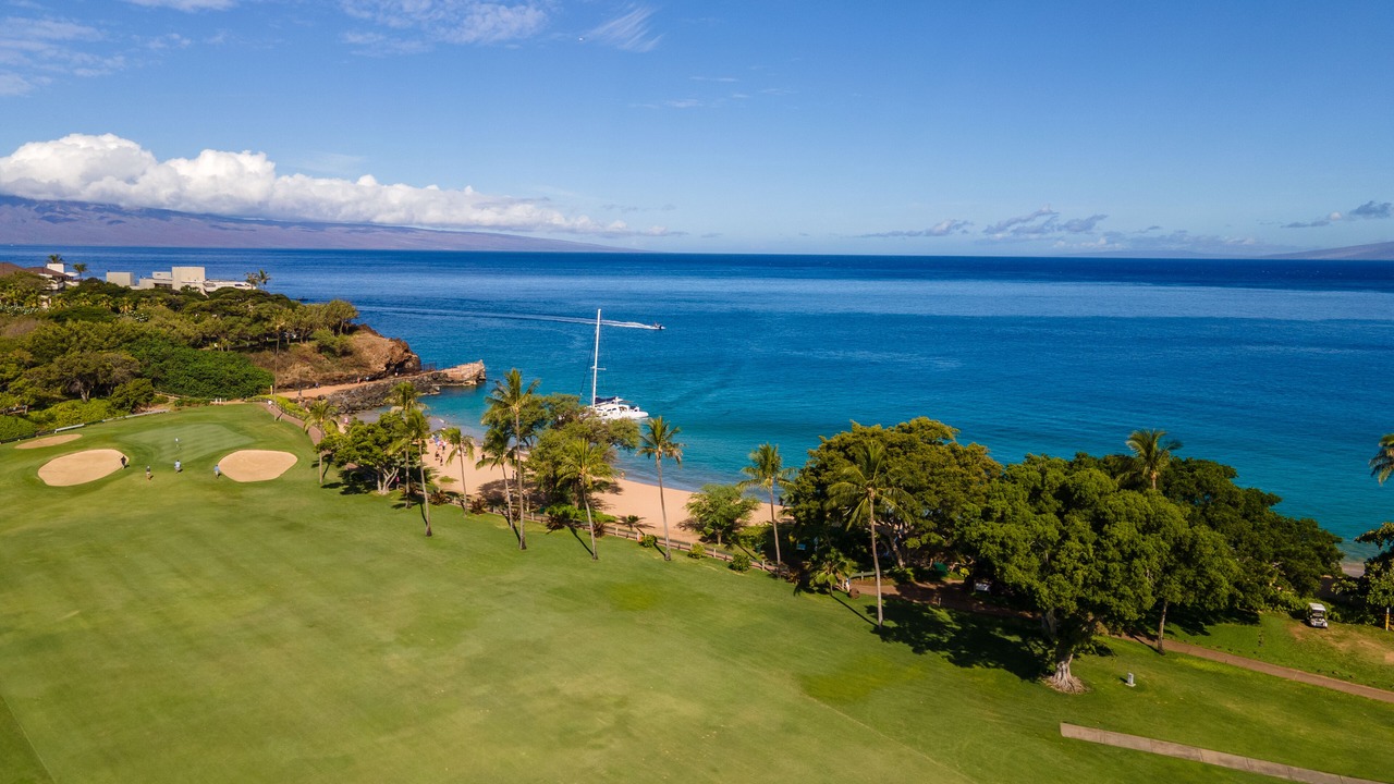 Photo of Others in Kaanapali