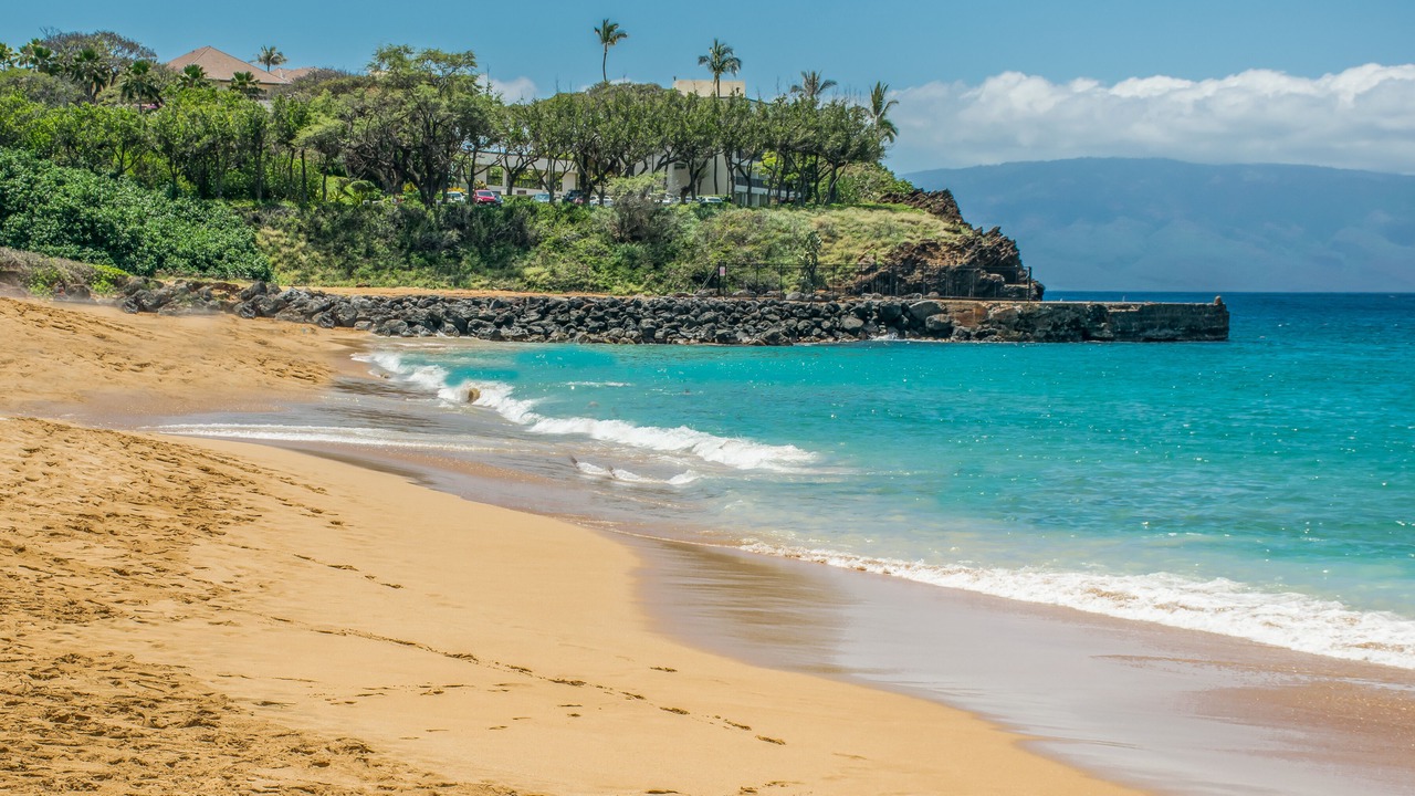 Photo of Others in Kaanapali