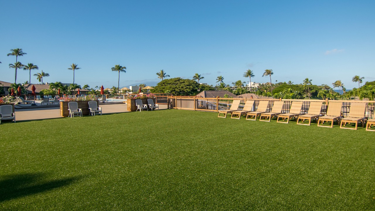 Photo of Others in Kaanapali