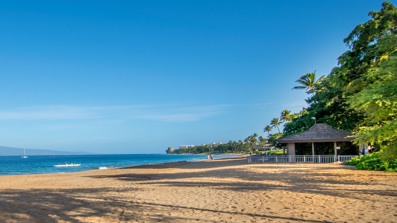 Photo of Others in Kaanapali