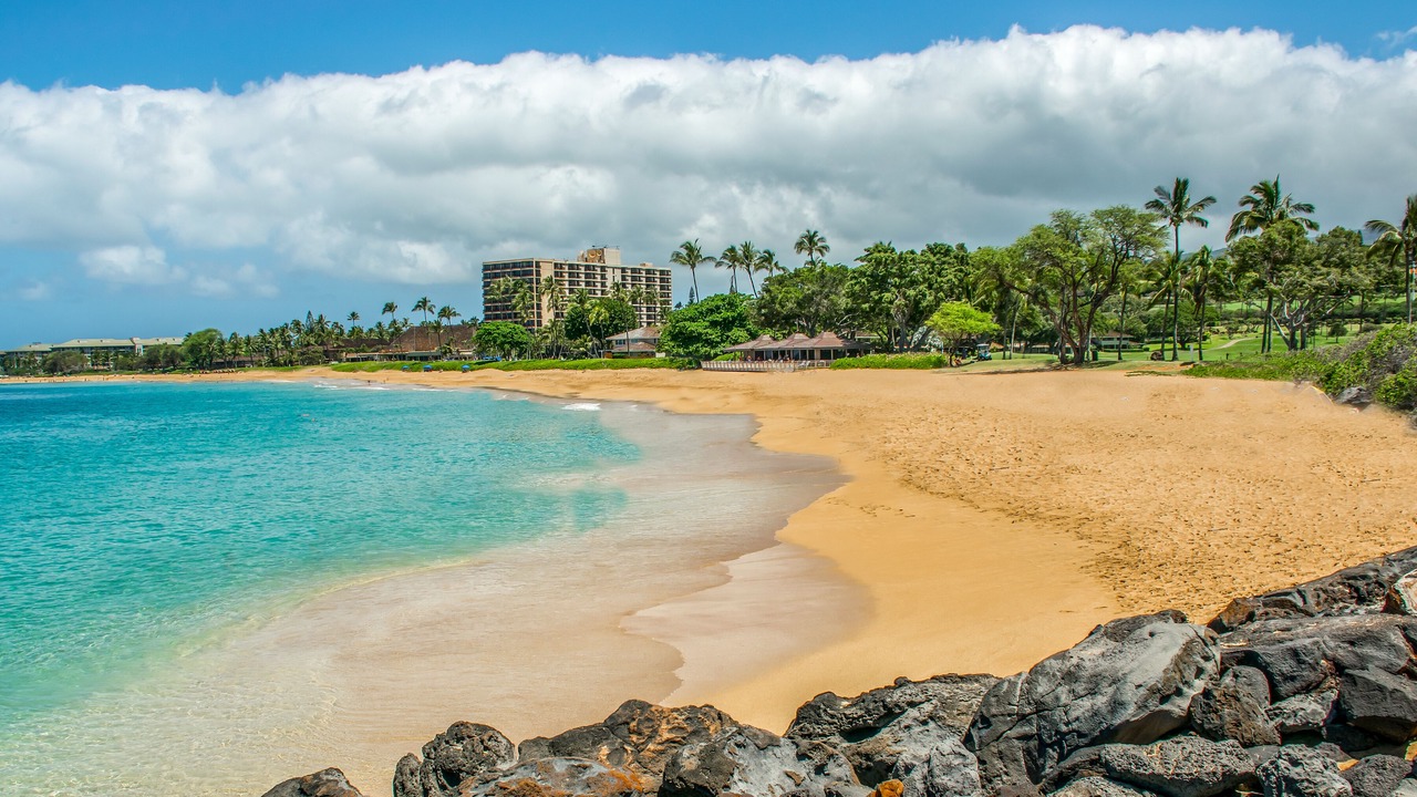 Photo of Others in Kaanapali