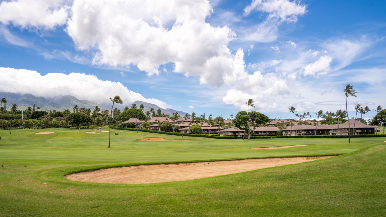 Photo of Others in Kaanapali