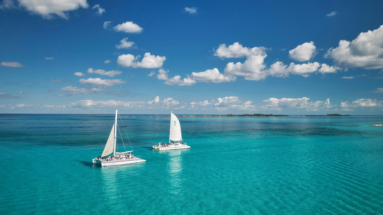 Photo of Others in Paradise Island