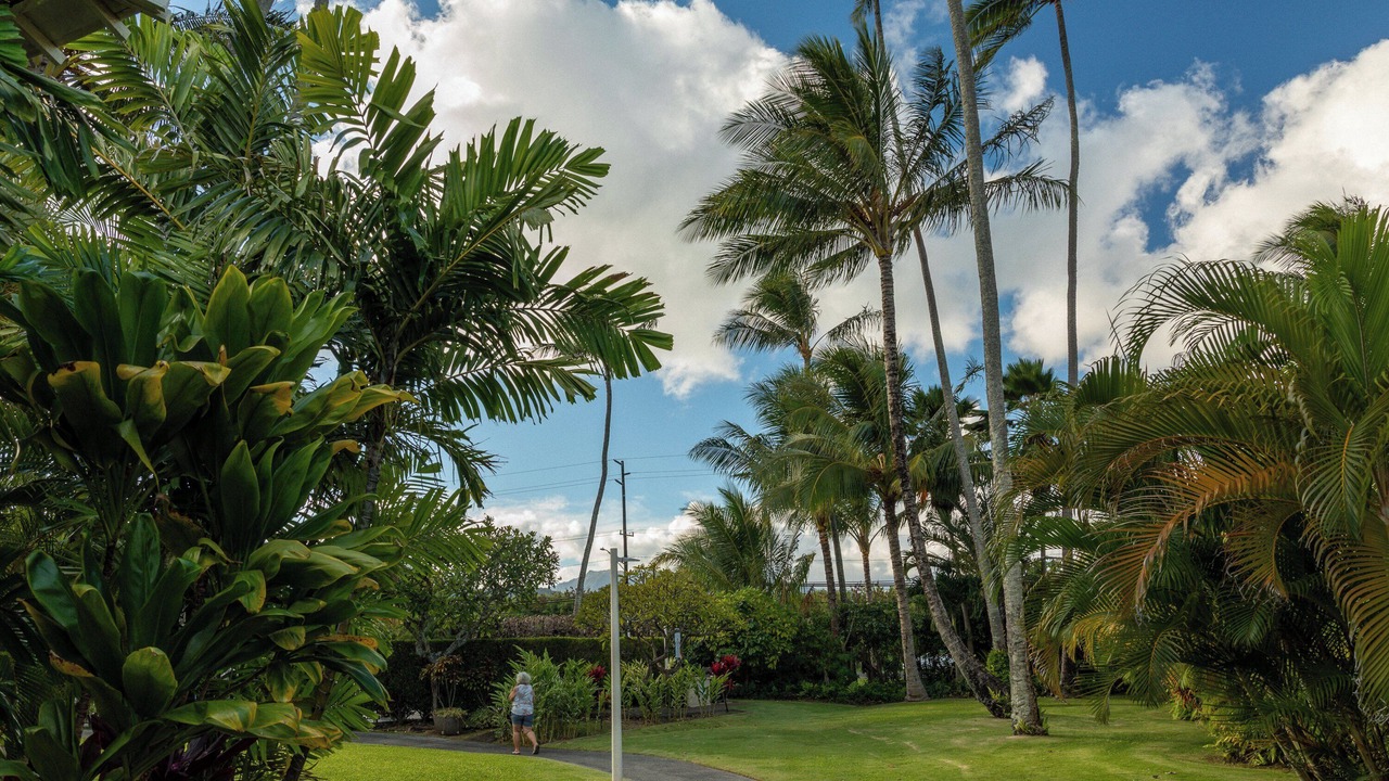 Photo of Outdoor in Wailua