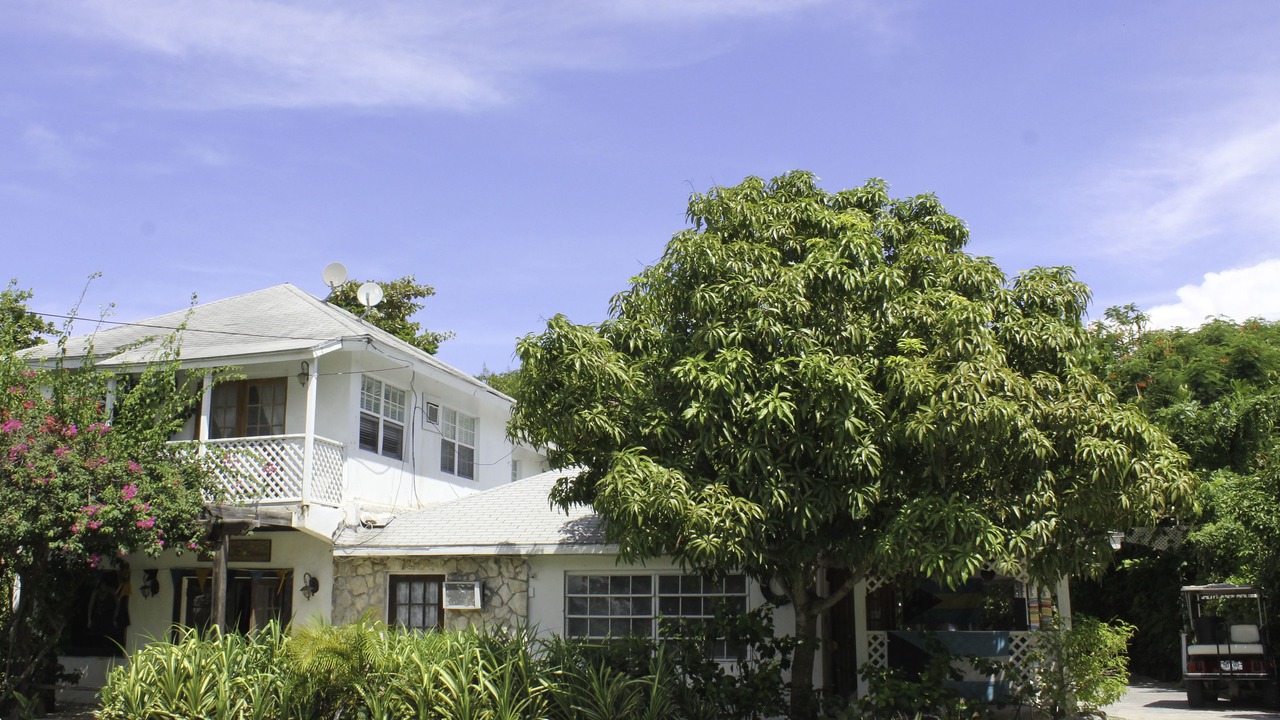 Photo of Outdoor in Dunmore Town