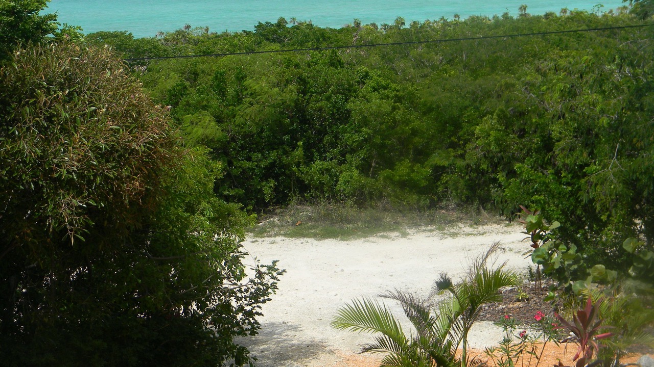 Photo of Others in Clarence Town