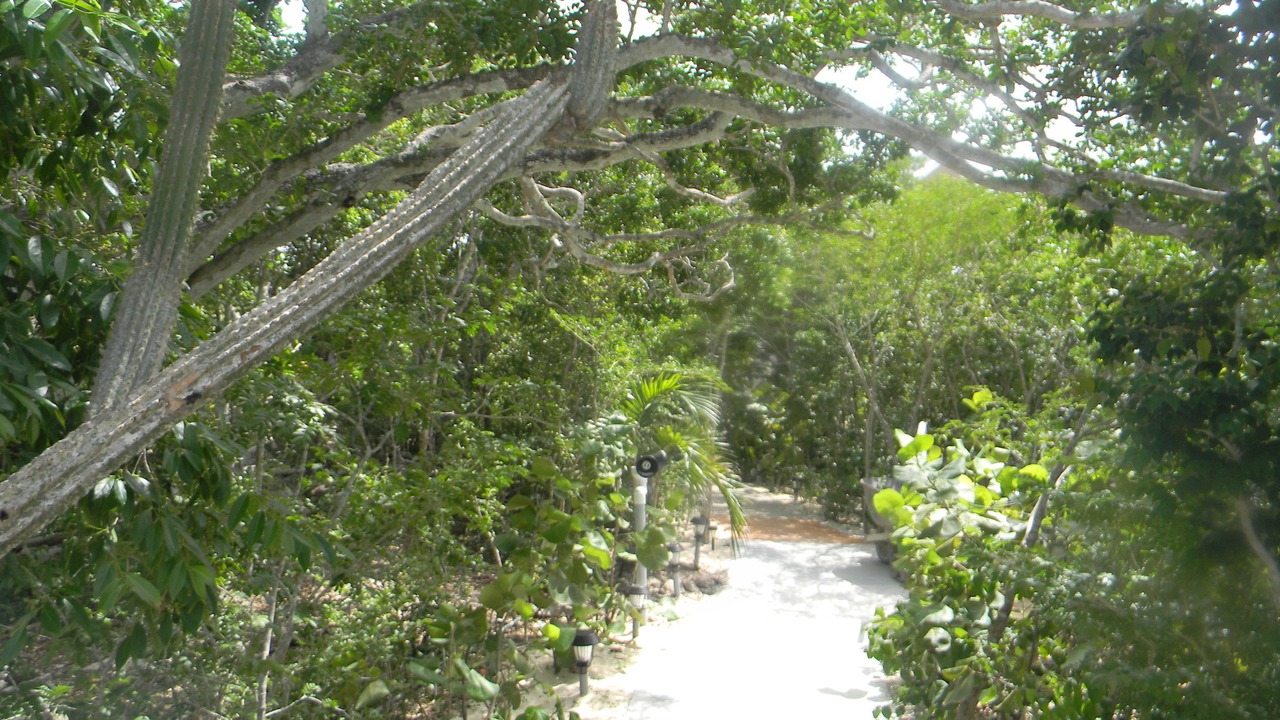 Photo of Outdoor in Clarence Town
