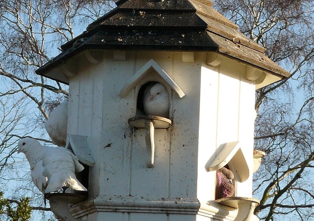 Photo of Outdoor in Hinxton
