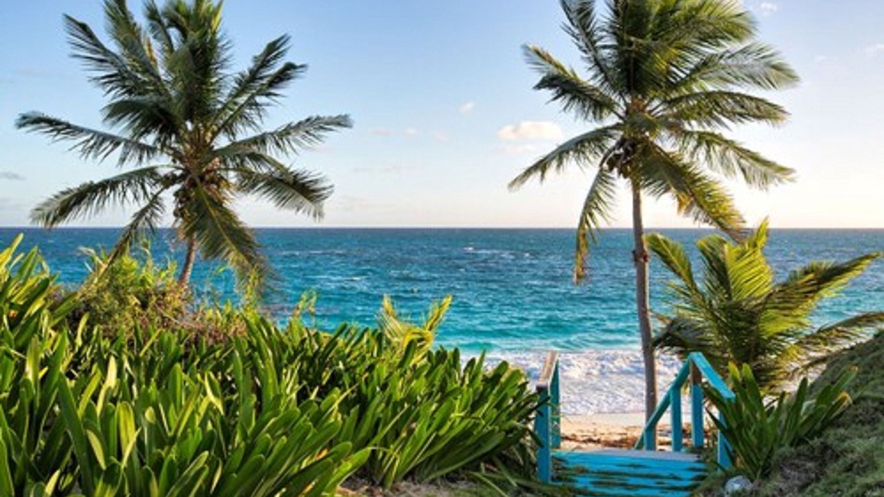 Photo of Outdoor in North Palmetto Point