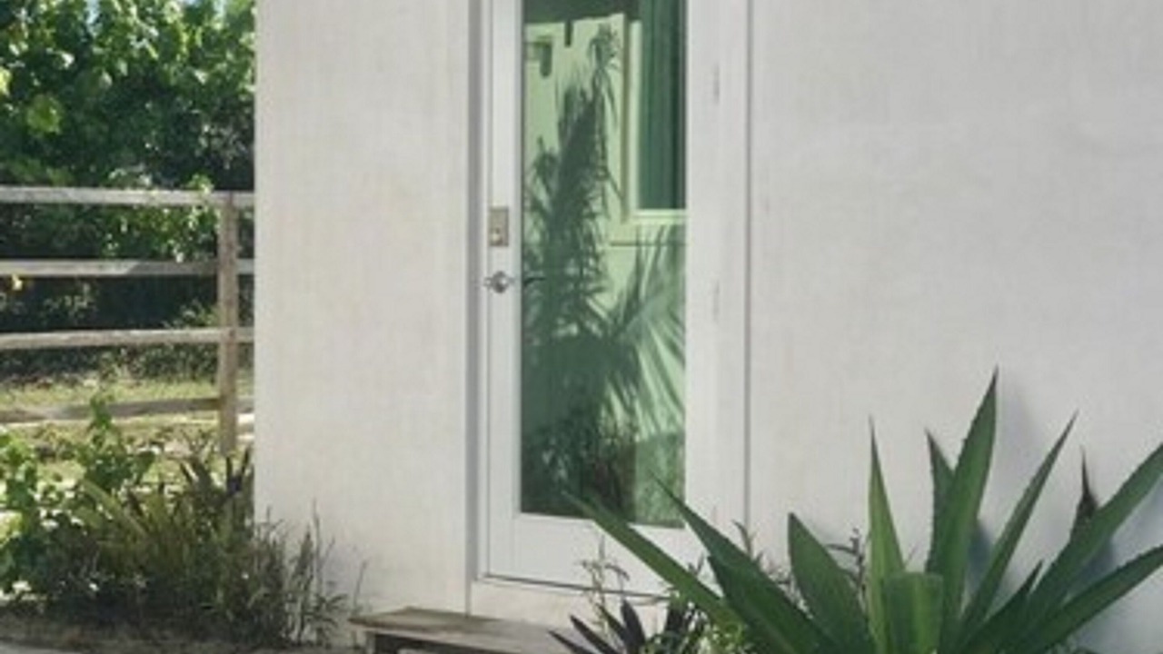 Photo of Outdoor in North Palmetto Point