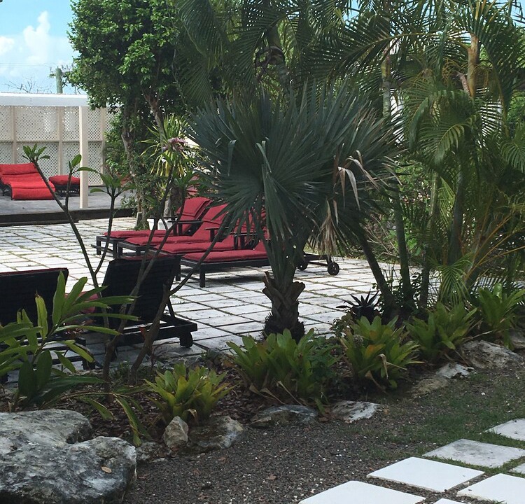 Photo of Outdoor in Gambier