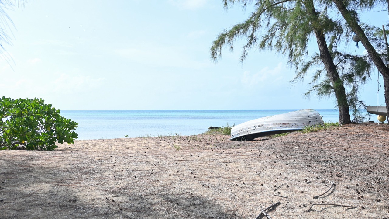 Photo of Others in Tarpum Bay