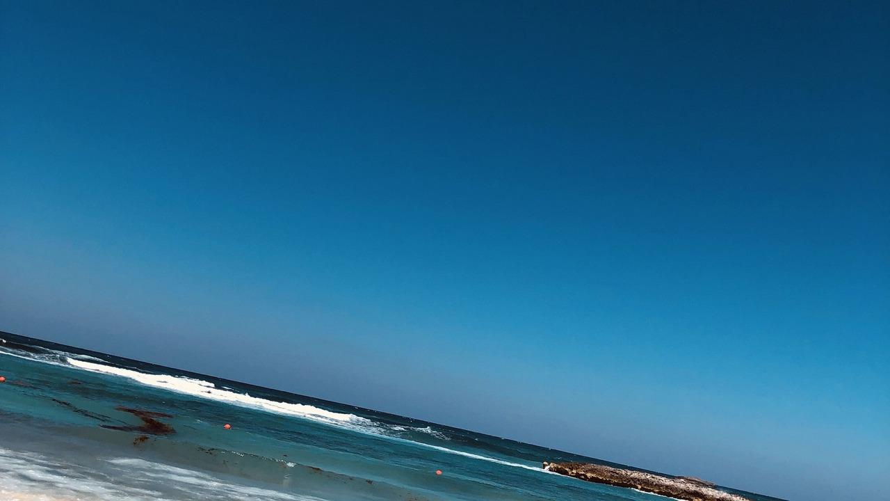 Photo of Others in Paradise Island