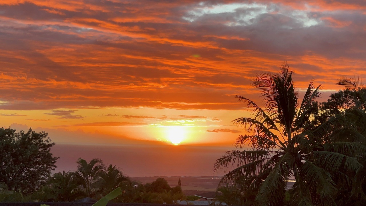 Photo of Others in Kona Palisades