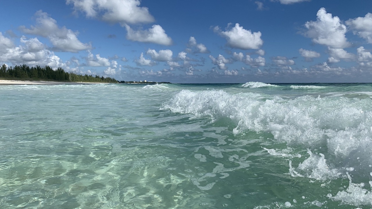 Photo of Others in Bahamas Terrace