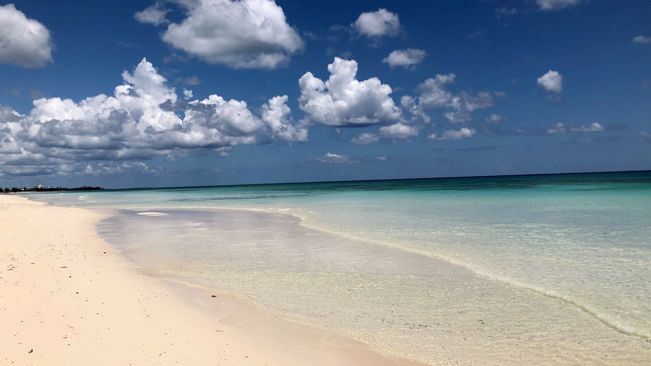 Photo of Others in Bahamas Terrace