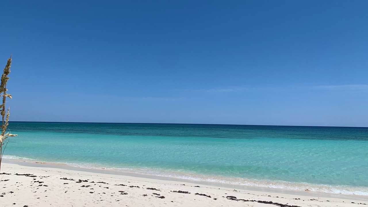 Photo of Others in Bahamas Terrace