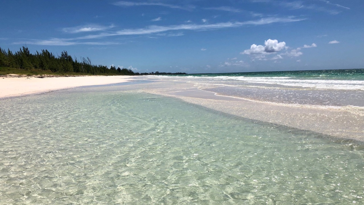Photo of Others in Bahamas Terrace