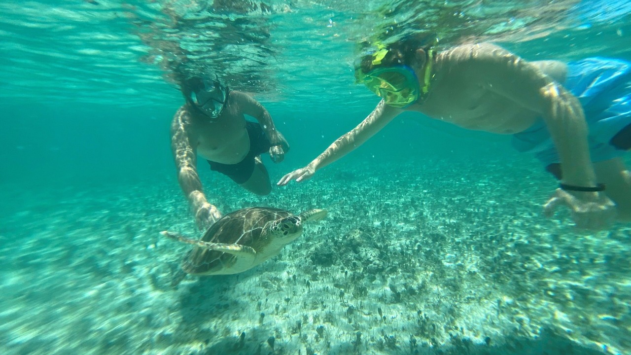 Photo of Others in Bahamas Terrace