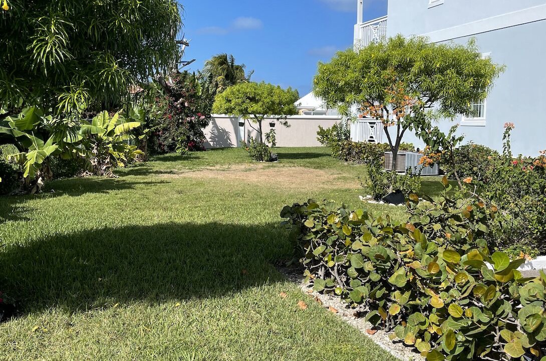 Photo of Others in Palm Cay