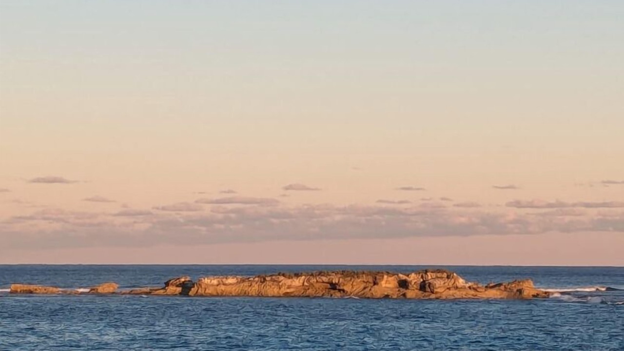 Photo of Others in Double Bay
