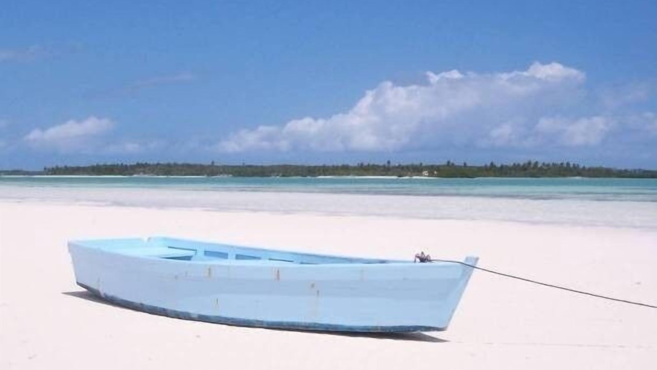 Photo of Others in Double Bay