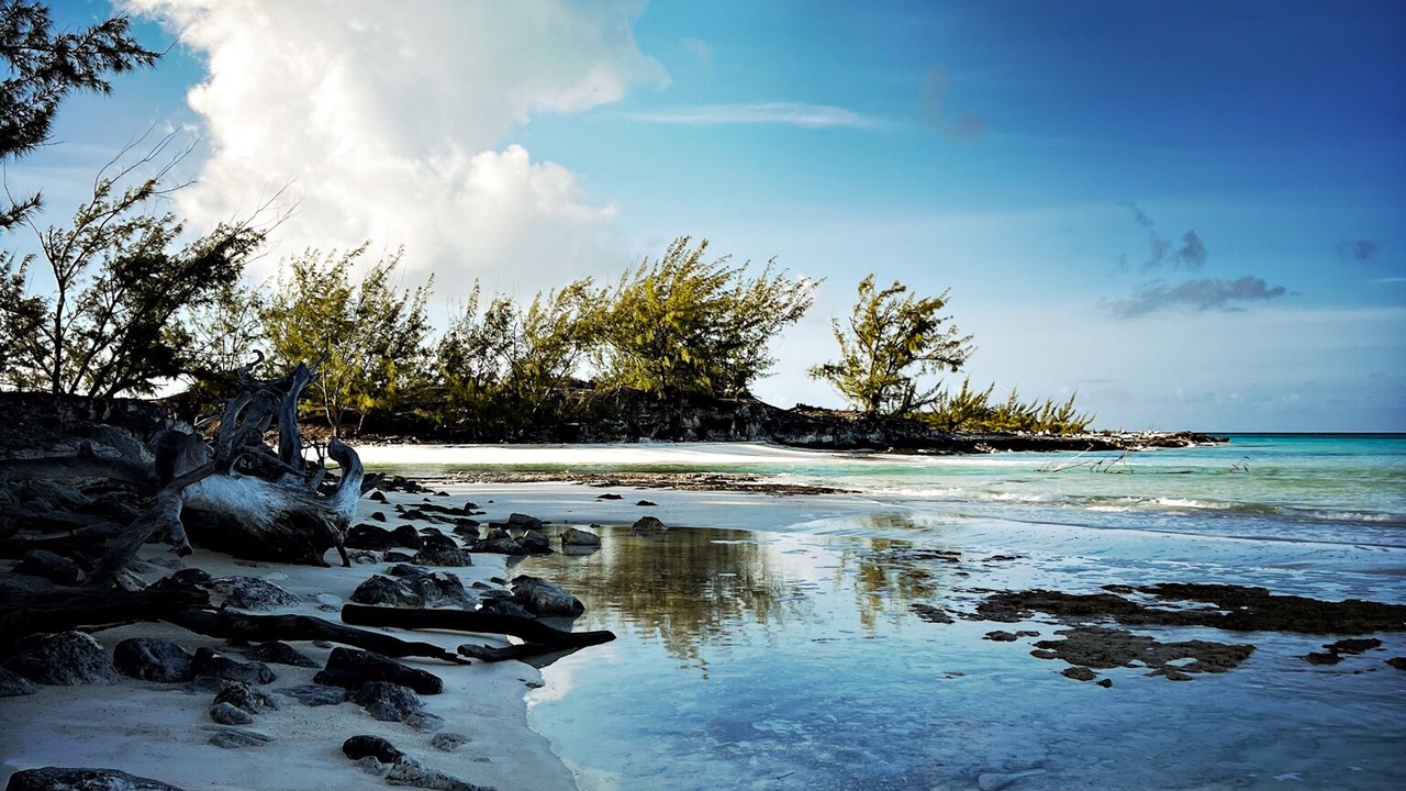 Photo of Others in Clarence Town