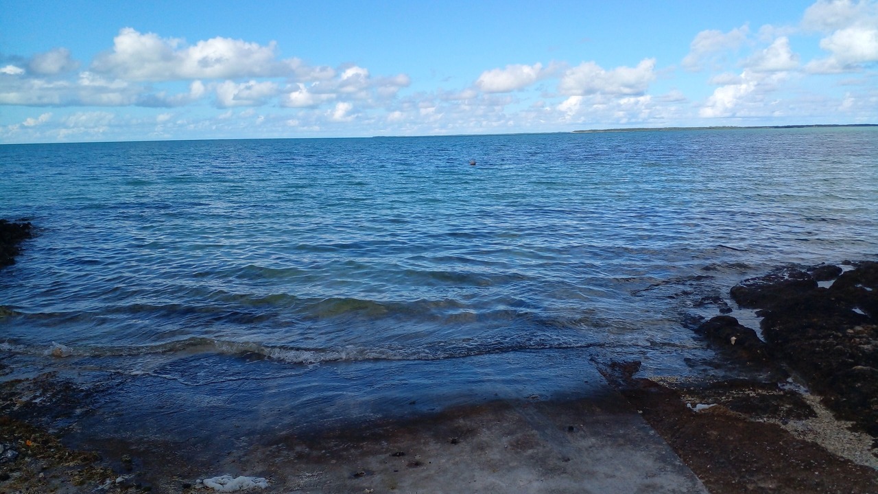 Photo of Others in Greencastle