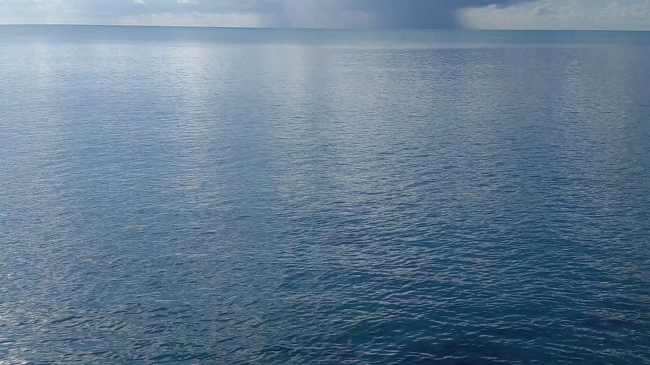 Photo of Others in Greencastle
