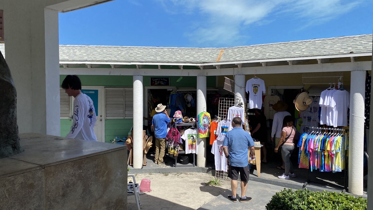 Photo of Others in Alice Town