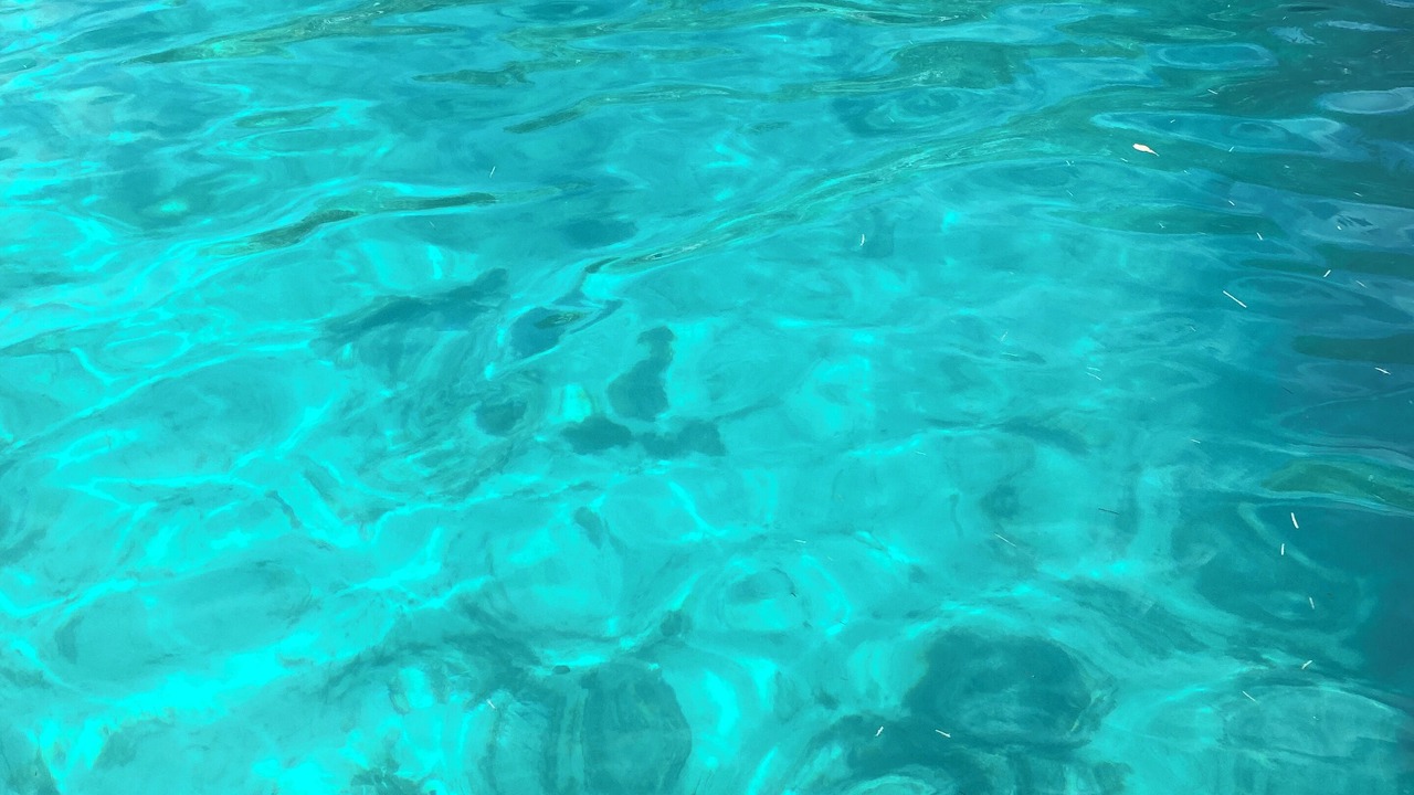 Photo of Others in Great Exuma