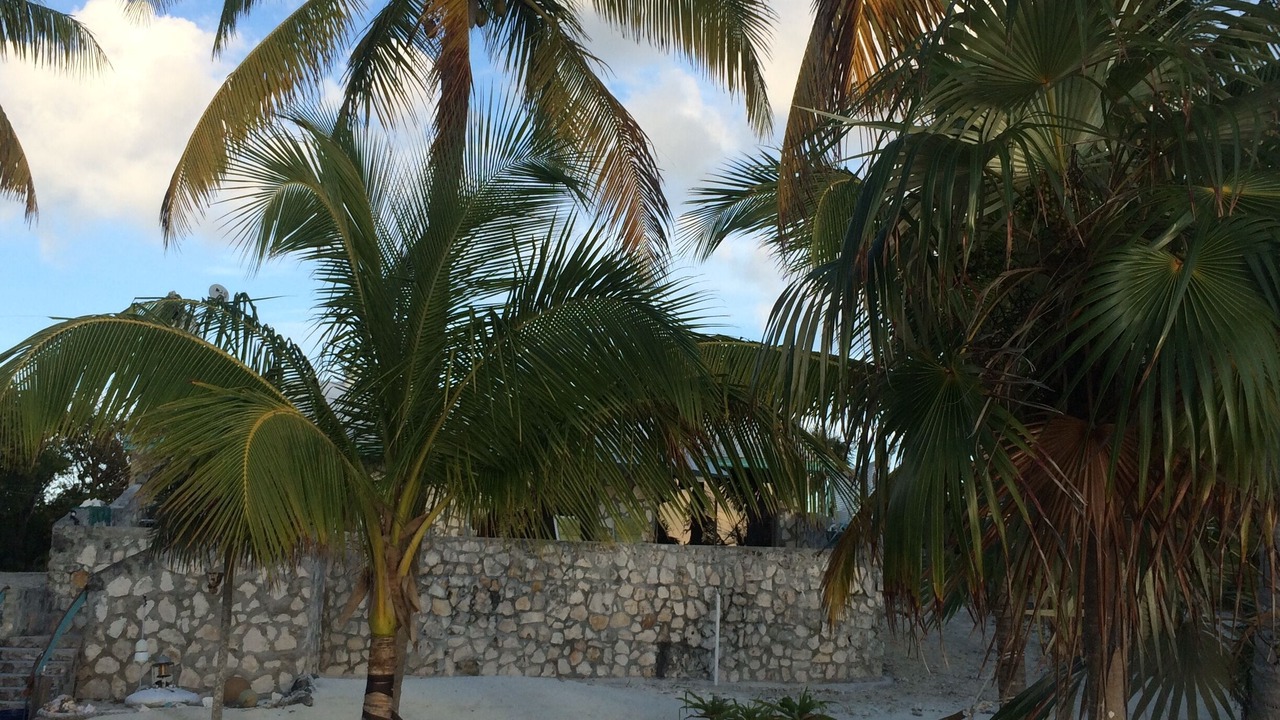 Photo of Outdoor in Bennett's Harbour