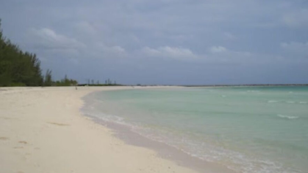 Photo of Others in Bahamia West