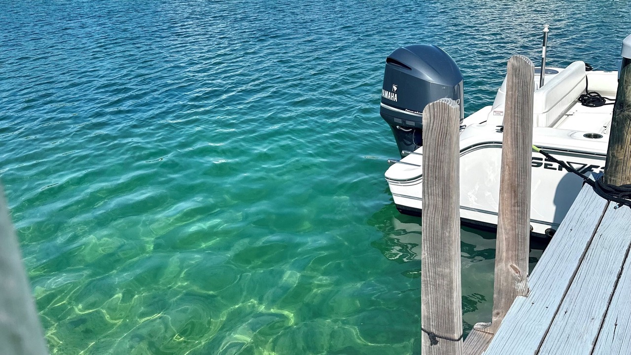 Photo of Others in Treasure Cay