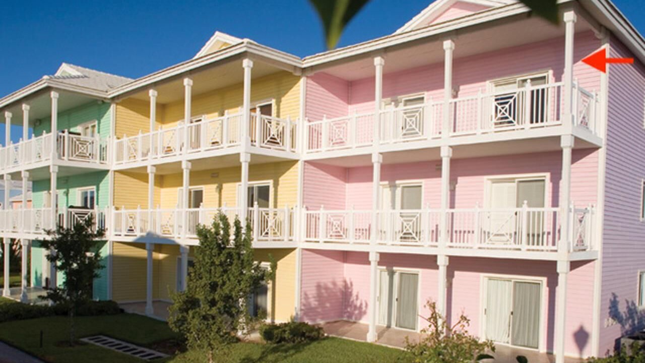 Photo of Outdoor in Alice Town