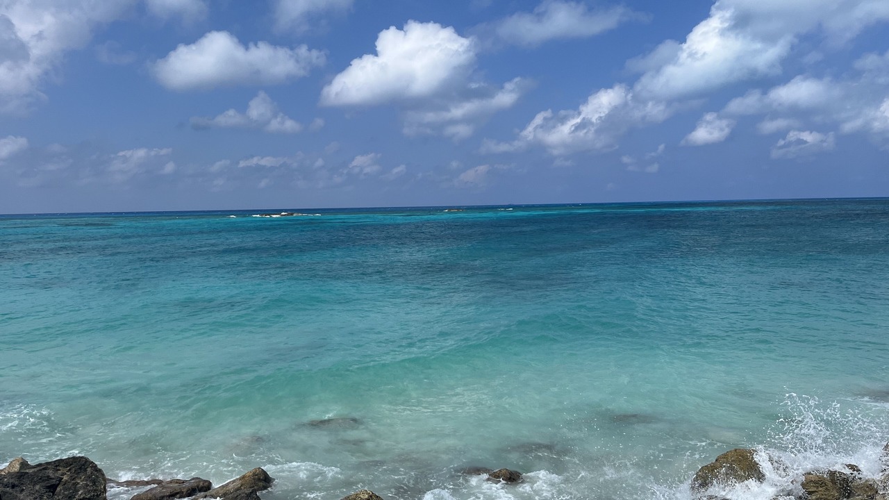 Photo of Others in South Bimini