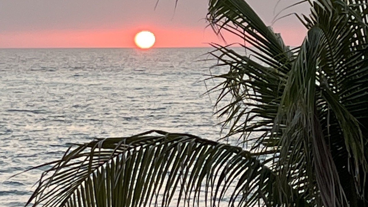 Photo of Others in South Bimini