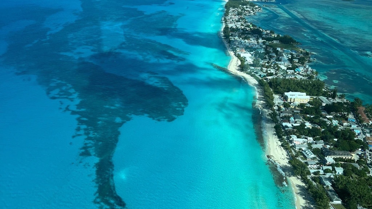 Photo of Others in South Bimini